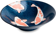 Dish