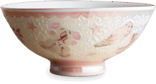 Bowl